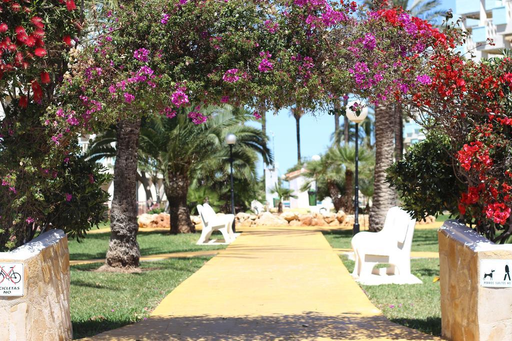 Apartamentos Oliver Playa Dénia Exterior foto